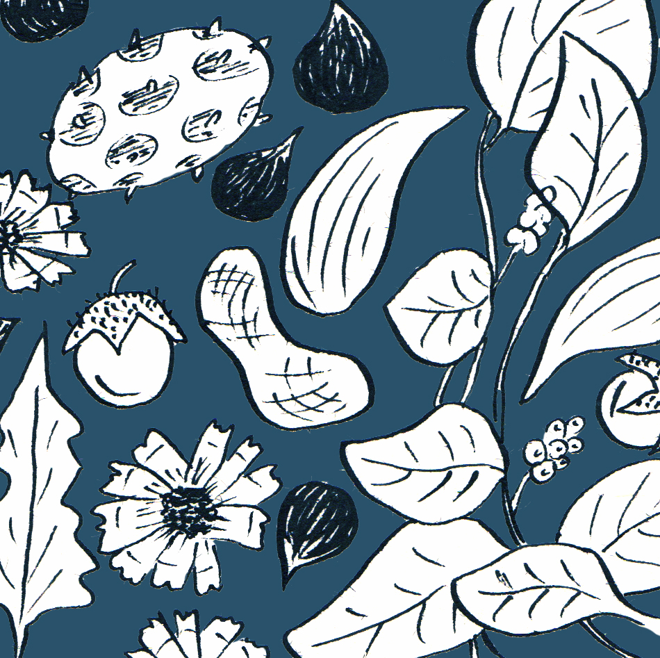 Les exotiques et originales